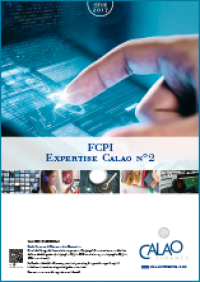 Expertise Calao n°2