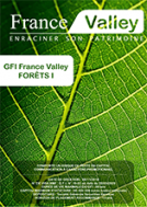 GFI France Valley Forêts II